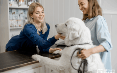 The Client Whisperer – Mastering Veterinary Reception Genius